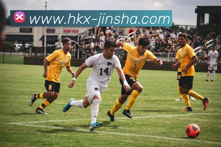 辅助工具 辅助工具